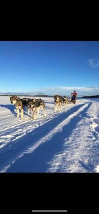 Northern Light Huts - Paradise Lapland Kiruna Zewnętrze zdjęcie