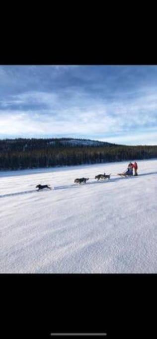 Northern Light Huts - Paradise Lapland Kiruna Zewnętrze zdjęcie