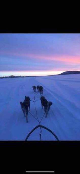 Northern Light Huts - Paradise Lapland Kiruna Zewnętrze zdjęcie